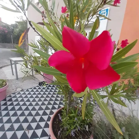 Orange Cube - Self Check In - Free Parking *