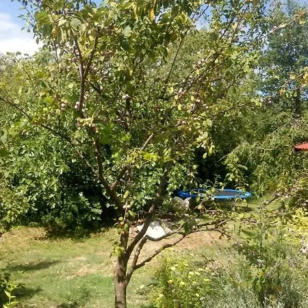 Orange Cube - Self Check In - Free Parking アパート *