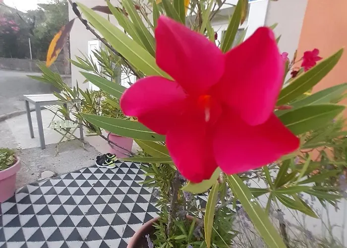 Orange Cube - Self Check In - Free Parking *