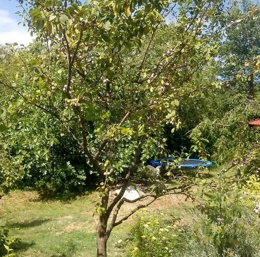 Orange Cube - Self Check In - Free Parking Daire *